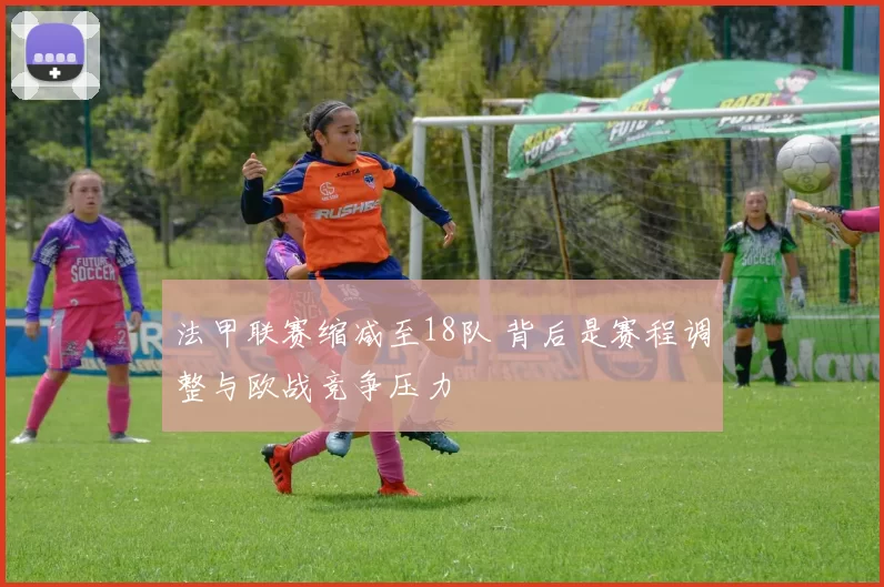 法甲联赛缩减至18队 背后是赛程调整与欧战竞争压力