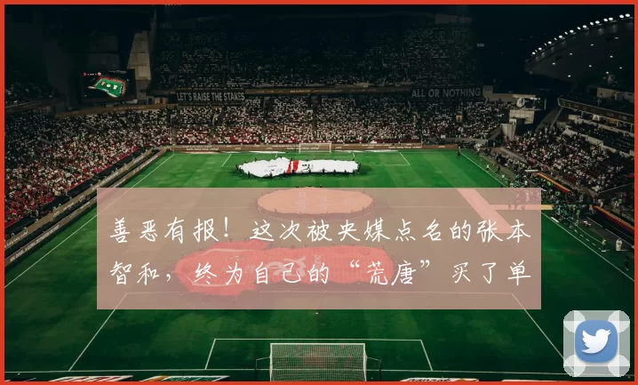 善恶有报！这次被央媒点名的张本智和，终为自己的“荒唐”买了单