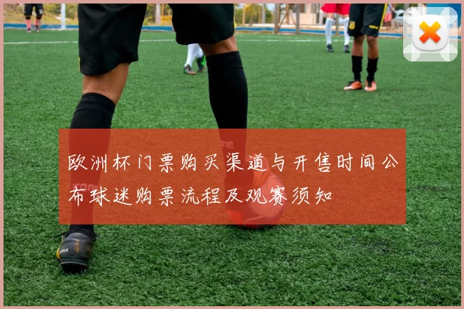 欧洲杯门票购买渠道与开售时间公布球迷购票流程及观赛须知