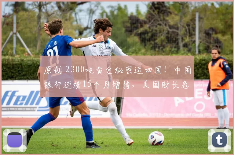 原创 2300吨黄金秘密运回国！中国银行连续15个月增持，美国财长急了，美国财长公开指责中国交易员搅乱金市