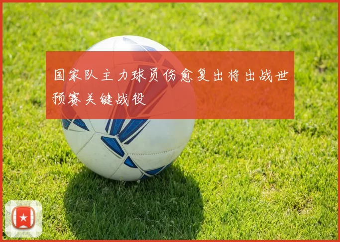 国家队主力球员伤愈复出将出战世预赛关键战役