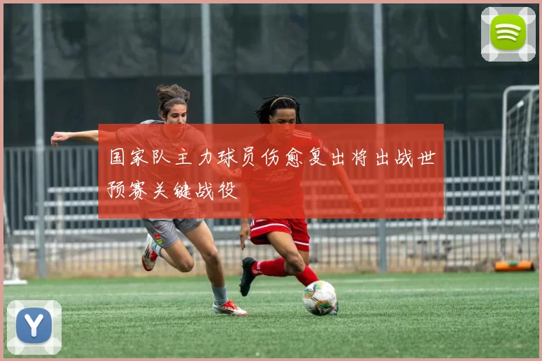 国家队主力球员伤愈复出将出战世预赛关键战役