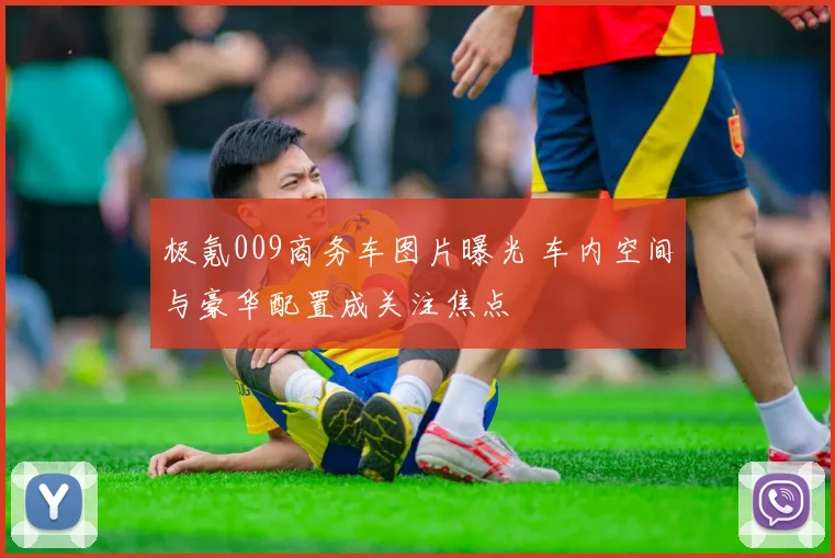 极氪009商务车图片曝光 车内空间与豪华配置成关注焦点