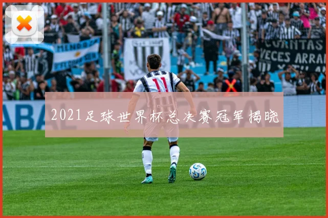 2021足球世界杯总决赛冠军揭晓
